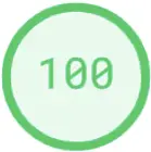 PageSpeed score 100